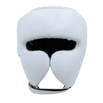 Head Guard