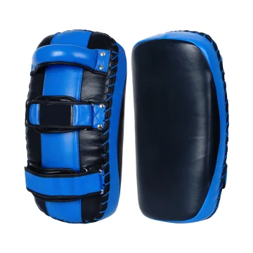 Kick Thai Pad